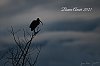 Voeux2021_28c29Jean-800px.jpg