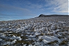 Vosges2012-14.jpg