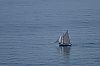 _JMJ3229pirate800px.jpg