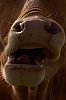droleDeportrait_JSN2600.jpg