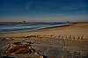 randoGenet_fevrier2019__28c29Jean-MarcJANSEN_JZ7_21082000px_3_800pxPirate.jpg