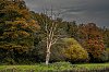 rando_Conde-sur-Vire_Novembre2021JZ7_3396_1620px.jpg