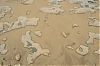sahel.jpg