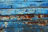 DSC_00092.jpg