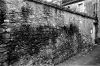 mur_belleme_04.jpg