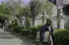 istanbul-selection-5.jpg
