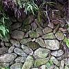 IMG_4519.jpg