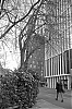 LDN0312-HP52B-009.jpg