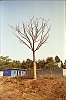 NJG1111-REALA-034.jpg