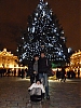 P1030808.jpg