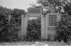 QZH0410-TRIX021.jpg