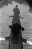 XMN0910-APX011.jpg
