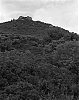 ruines2.jpg