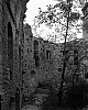 ruines4.jpg