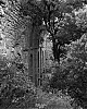 ruines8.jpg