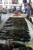 Marcheauxpoissons.jpg