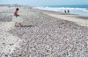 Plage_11.jpg