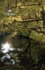 Vincennes-Automne.jpg
