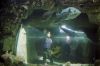 aquarium.jpg
