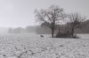 neige2.jpg