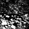 IMG_0098-1.jpg