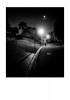 NightWalker.jpg