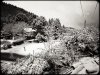 R0011237.jpg