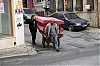 0077ist-c.jpg