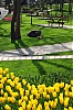 0085ist0001f.jpg
