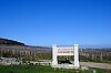 01_chambertin-.jpg