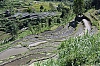 1Rizi-1.jpg
