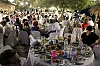 31bd_DSF4740.jpg