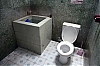 WC-Yog-.jpg
