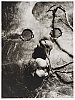 Wols_1937~0.jpg