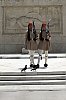 a-pigeons_2-.jpg