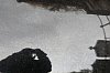 autopo-.jpg