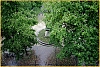 autumn-c-~1.jpg