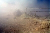 brouillard-.jpg