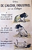 cobaye-.jpg