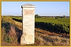 criots-cad-.jpg