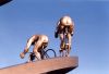 cyclistes.jpg