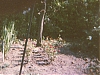 ech2r-.jpg