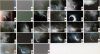 eclipse11-08-1999.jpg