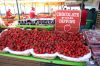 fraises-.jpg