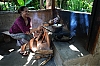 luwak3a-.jpg