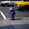 nyc001-.jpg