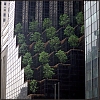 nyc11ab-.jpg