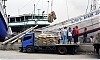 port03r-.jpg