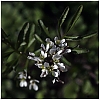 printemps-cad-.jpg