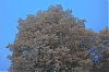 verdure2-.jpg